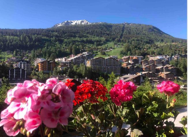 Sunny Swiss Mountain Studio In Centre By Jolidi Nendaz Exterior foto